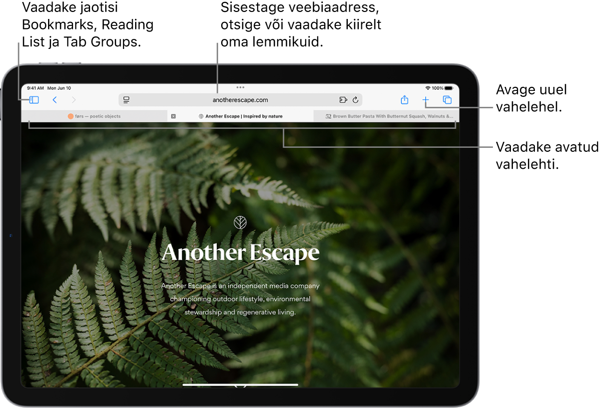 Avatud veebileht. Ülaservas on (vasakult paremale) nupp Sidecar, hetkel avatud Tab Groupi pealkiri, nupud Previous ja Back, otsinguväli, nupp Share, nupp New Tab ning nupp Tab Overview.