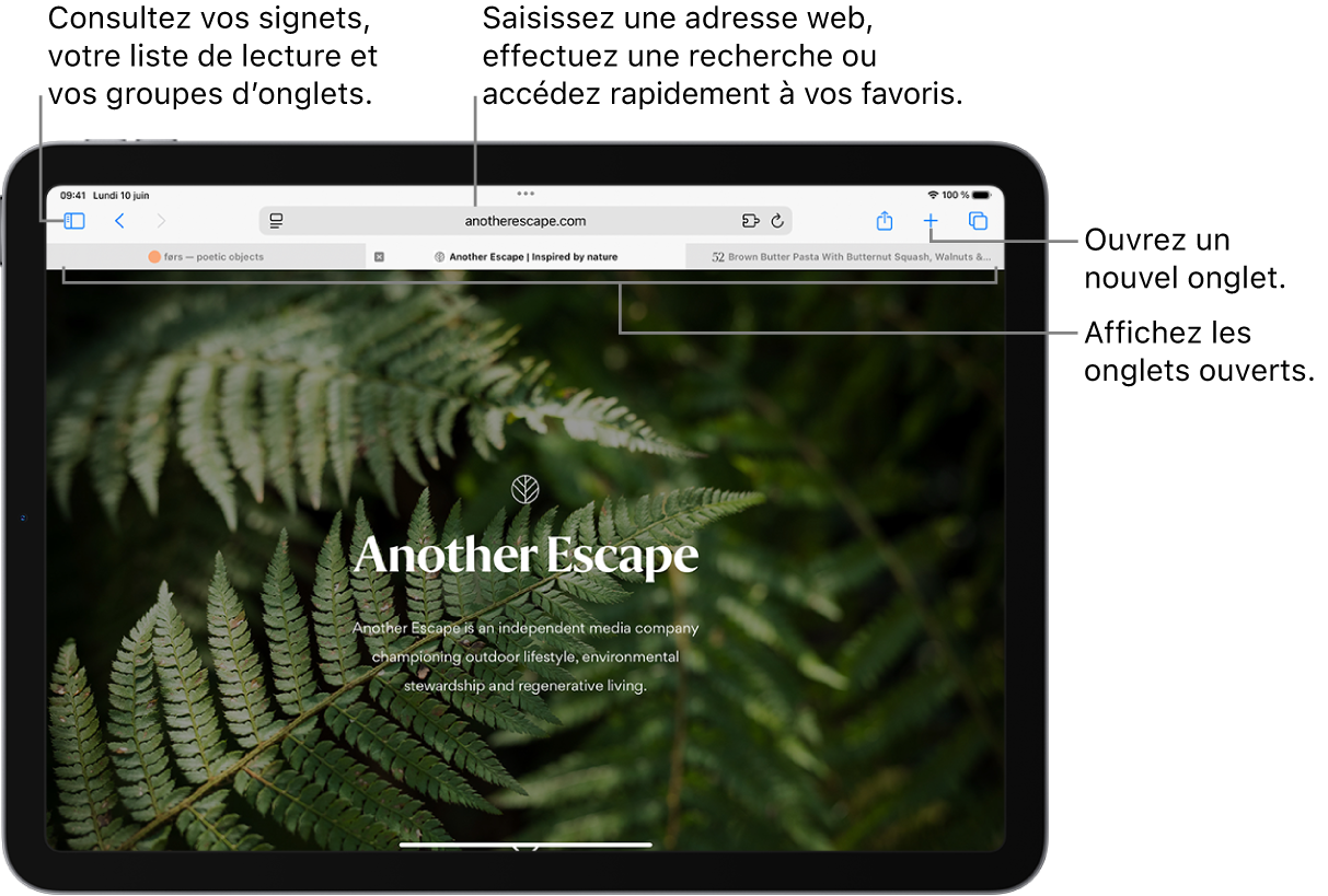 Une page web ouverte. Dans la partie supérieure, de gauche à droite, se trouvent le bouton Barre latérale, le titre du groupe d’onglets actuellement ouvert, les boutons Précédent et Suivant, le champ de recherche, le bouton Partager, le bouton Nouvel onglet et le bouton Aperçu des onglets.