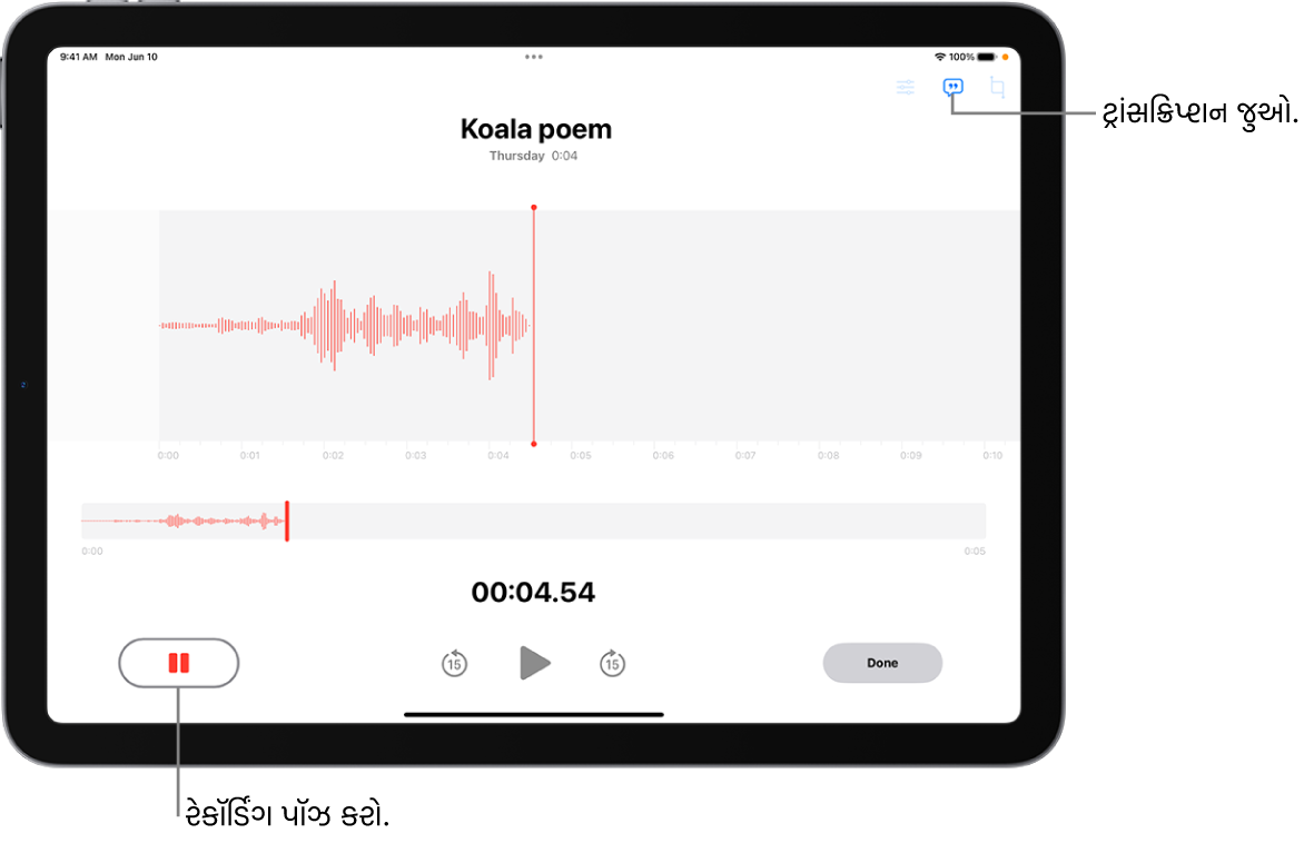 ટાઇમ ઇંડિકેટર, રેકોર્ડિંગ પૉઝ કરવાના બટન અને ટ્રાંસક્રિપ્શન જોવા માટેના બટન સહિત ચાલી રહેલા રેકોર્ડિંગને વેવફૉર્મમાં બતાવતું વૉઇસ મેમો રેકોર્ડિંગ.