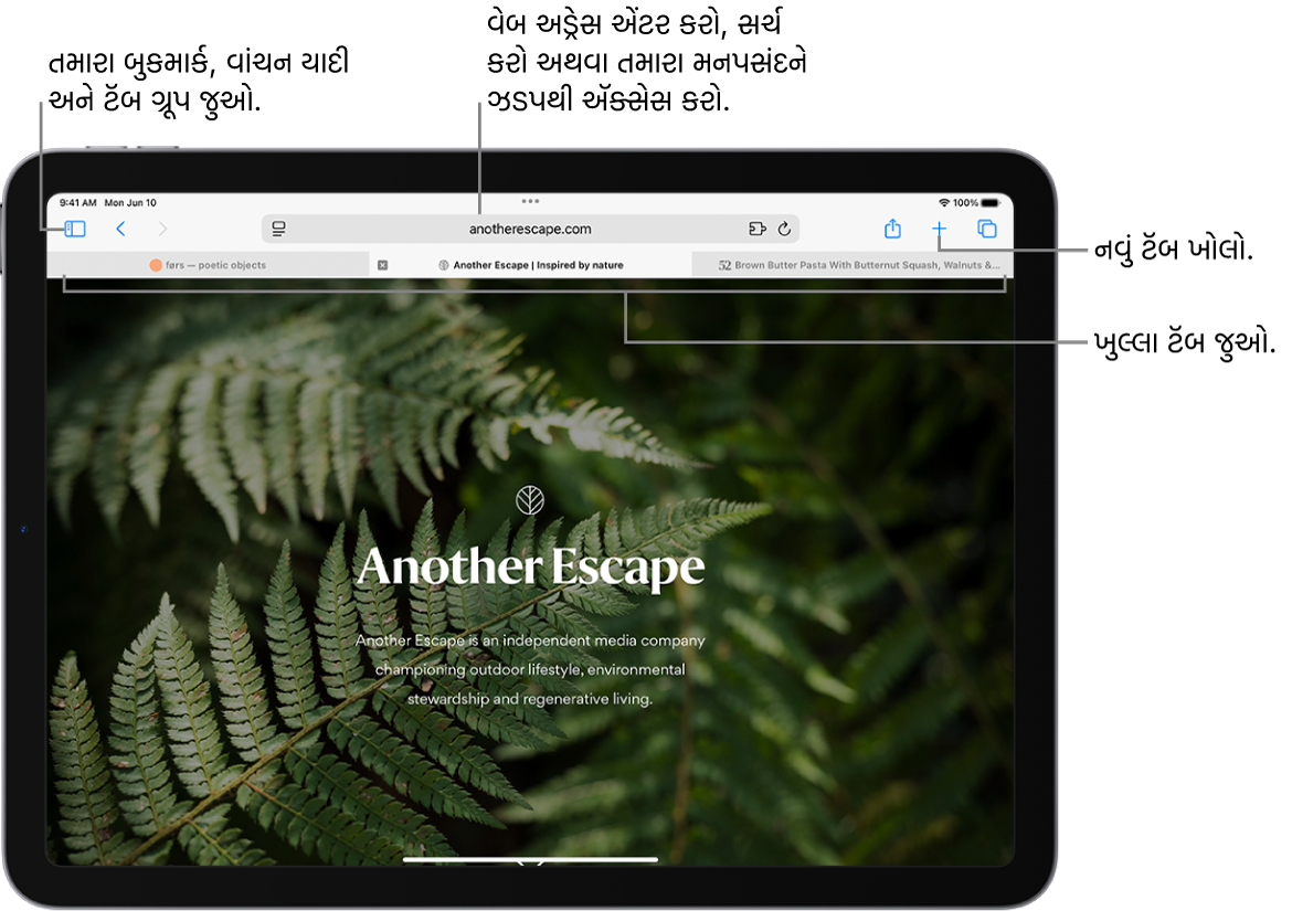 ખુલ્લું વેબપેજ. ઉપરની બાજુએ ડાબી બાજુથી જમણી બાજુએ સાઇડબાર બટન, વર્તમાનમાં ખુલ્લા ટૅબ ગ્રૂપનું શીર્ષક, પાછળ અને પાછા જાઓ બટન, સર્ચ ફીલ્ડ, શેર બટન, નવું ટૅબ બટન અને ટૅબ ઓવરવ્યૂ બટન છે.
