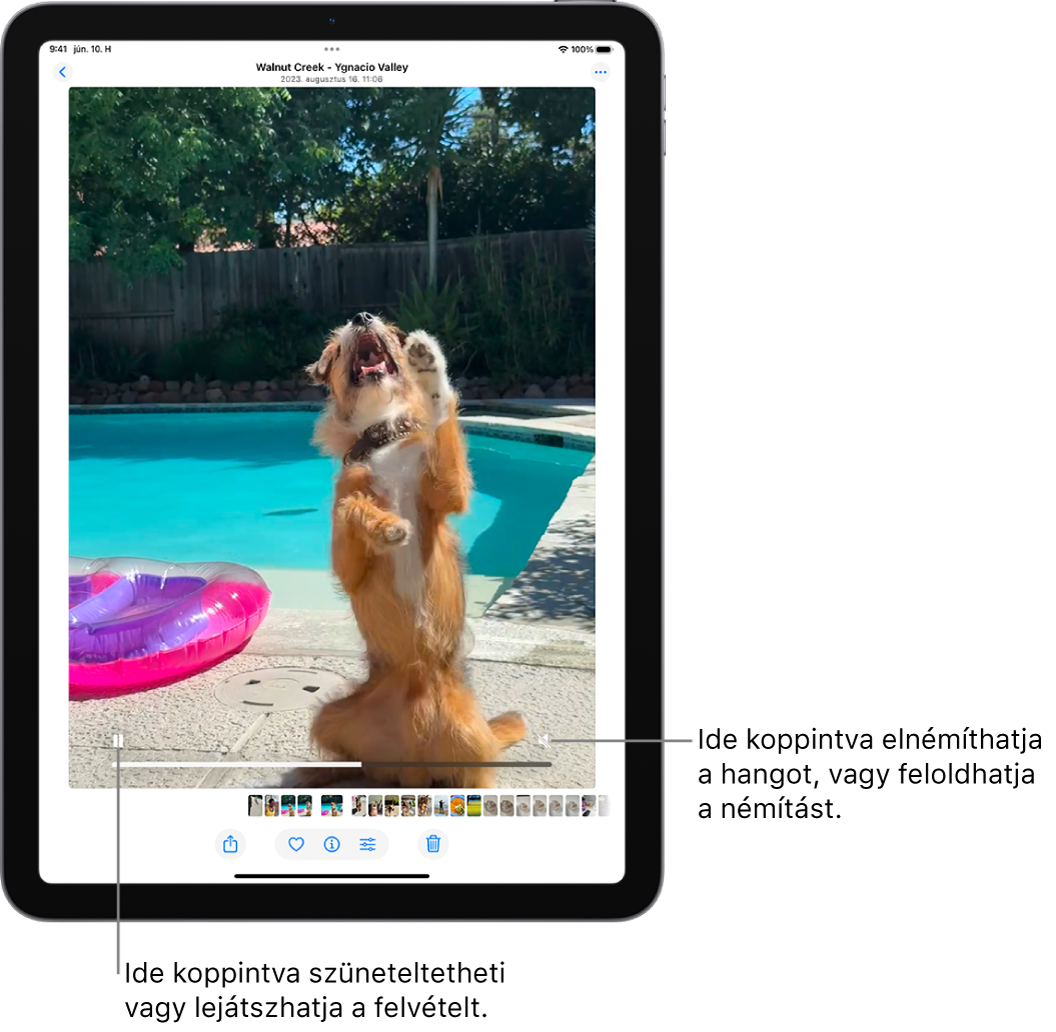 A képernyő közepén a Fotók app videólejátszója található, és egy videó lejátszása van folyamatban. A videó alján balról jobbra haladva a Lejátszás/Szünet gomb, a folyamatjelző és a Némítás/Hangerő gomb jelenik meg.