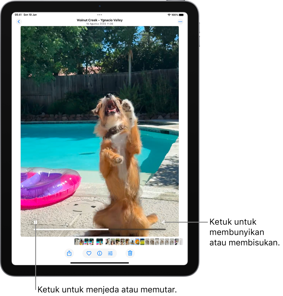 Pemutar video app Foto berada di bagian tengah layar dan video diputar. Di bagian bawah video, dari kiri ke kanan, terdapat tombol Putar/Jeda, bar kemajuan, dan tombol Bisukan/Volume.