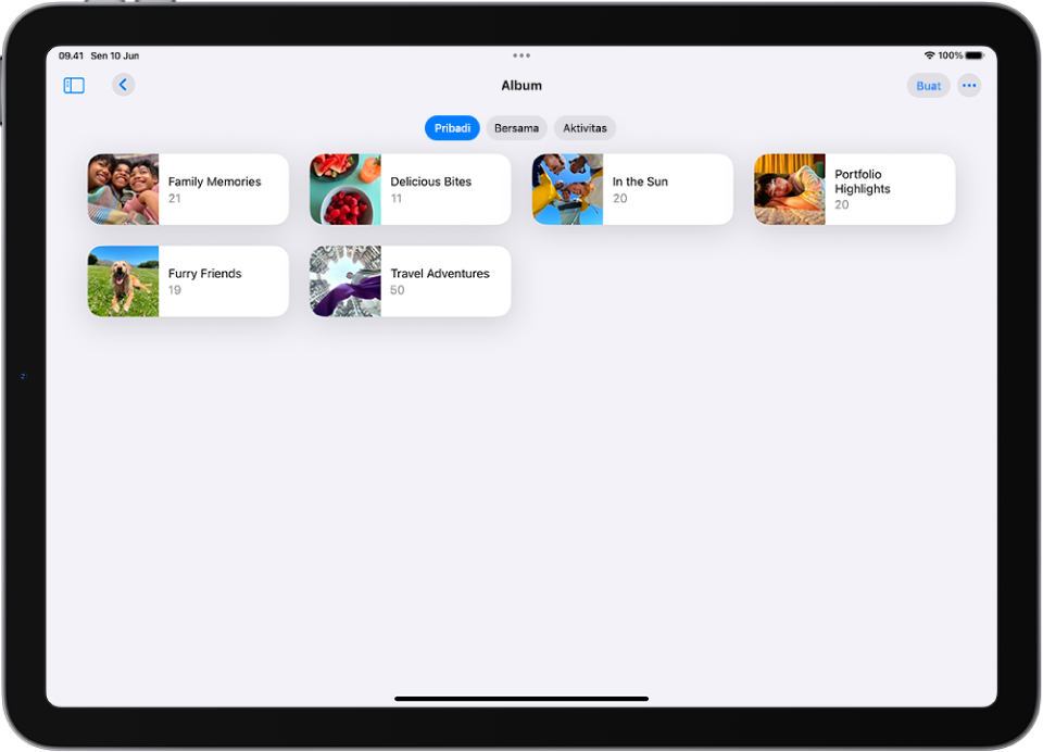 App Foto dibuka ke Album. Pribadi dipilih. Sisa layar iPad menampilkan gambar mini untuk album di grid.
