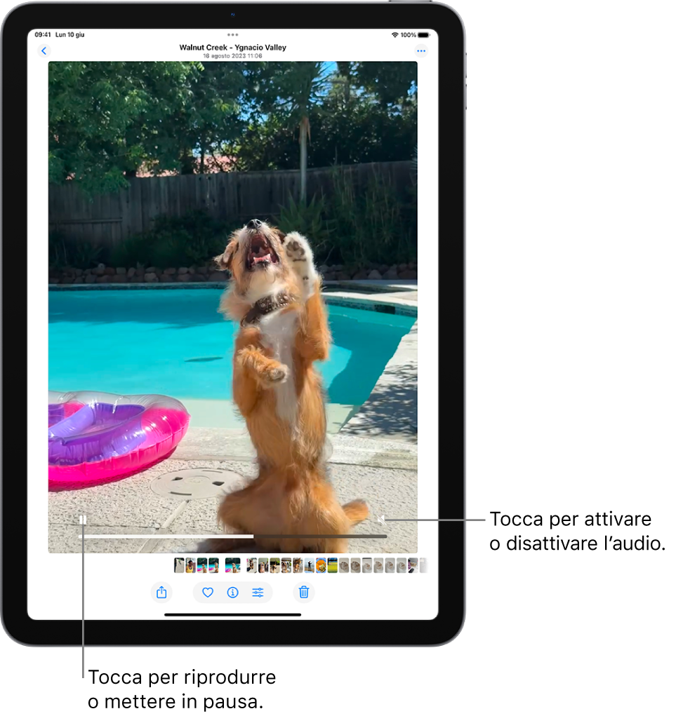 Al centro dello schermo è presente il player video dell’app Foto, con un video in riproduzione. Sotto al video, da sinistra a destra, sono presenti il pulsante Riproduci/Metti in pausa, la barra di avanzamento e il pulsante Disattiva audio/Volume.