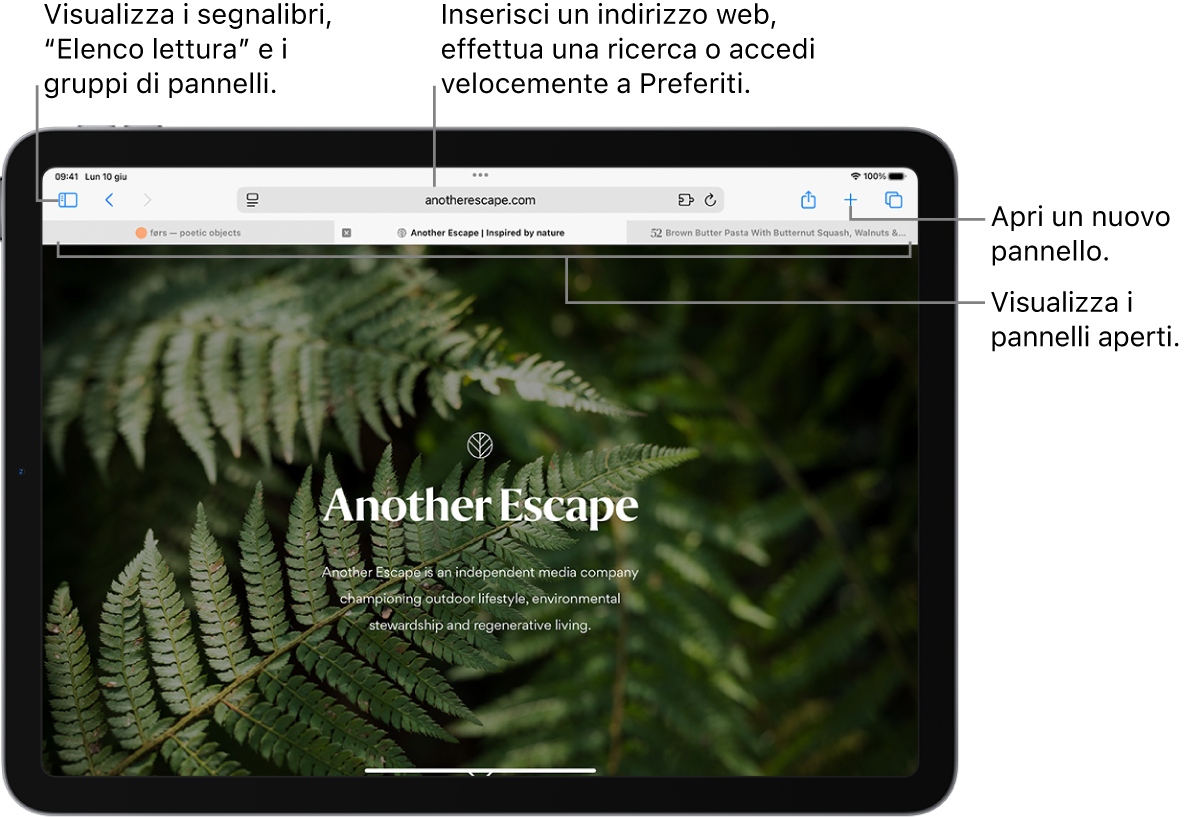 Una pagina web aperta. Lungo la parte superiore sono presenti, da sinistra a destra, il pulsante della barra laterale, il titolo del gruppo di pannelli attualmente aperto, i pulsanti Precedente e Indietro, il campo di ricerca, il pulsante Condividi, il pulsante “Nuovo pannello” e il pulsante “Panoramica pannelli”.
