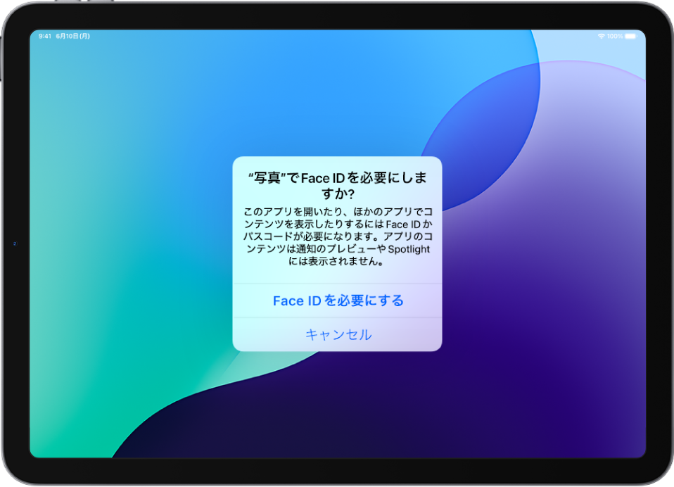 iPad Pro 11インチ オーストラリア版のためミュート時シャッター音なし iPad Pro 11インチ オーストラリア版のためミュート時シャッター