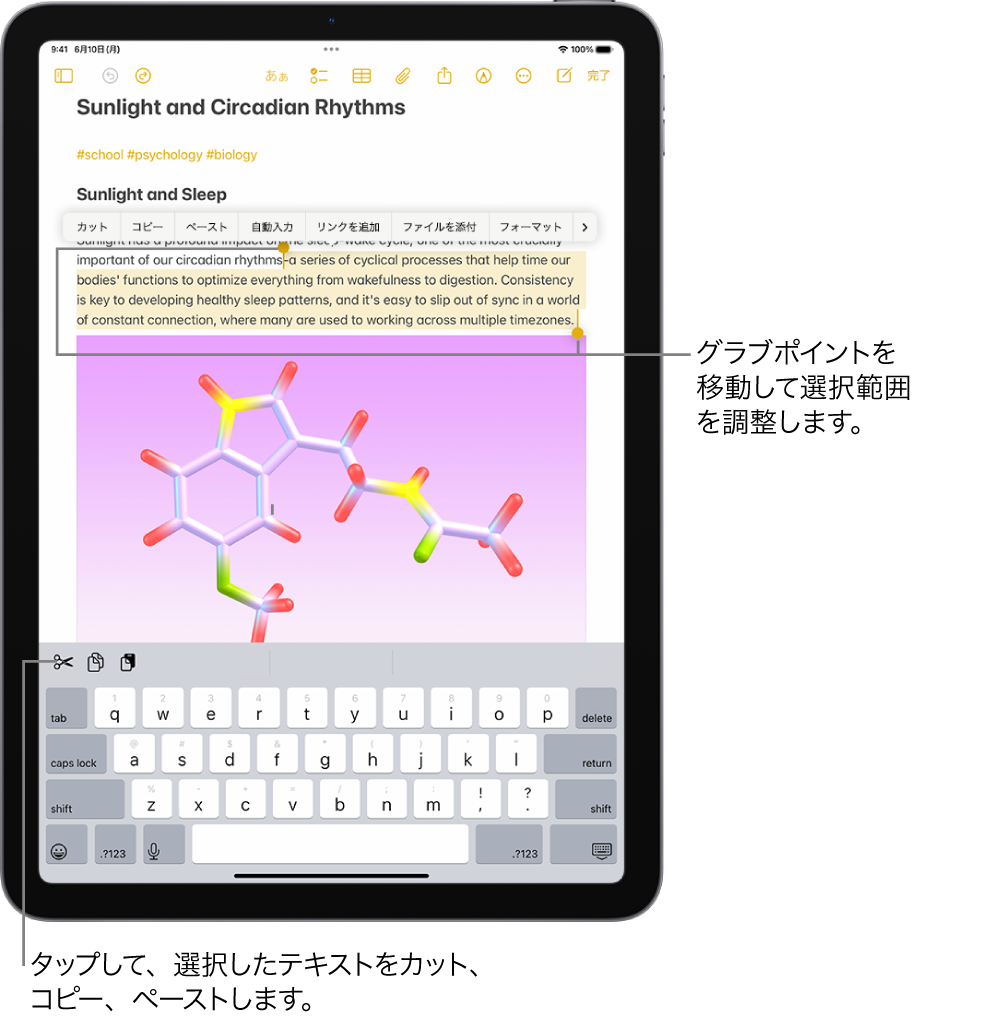 メモアプリのメモでテキストが選択されています。選択中のテキストの上には、カット、コピー、ペーストなどのボタンのメニューが表示されています。選択されたテキストが強調表示され、両端には選択範囲を調整するグラブポイントが付いています。