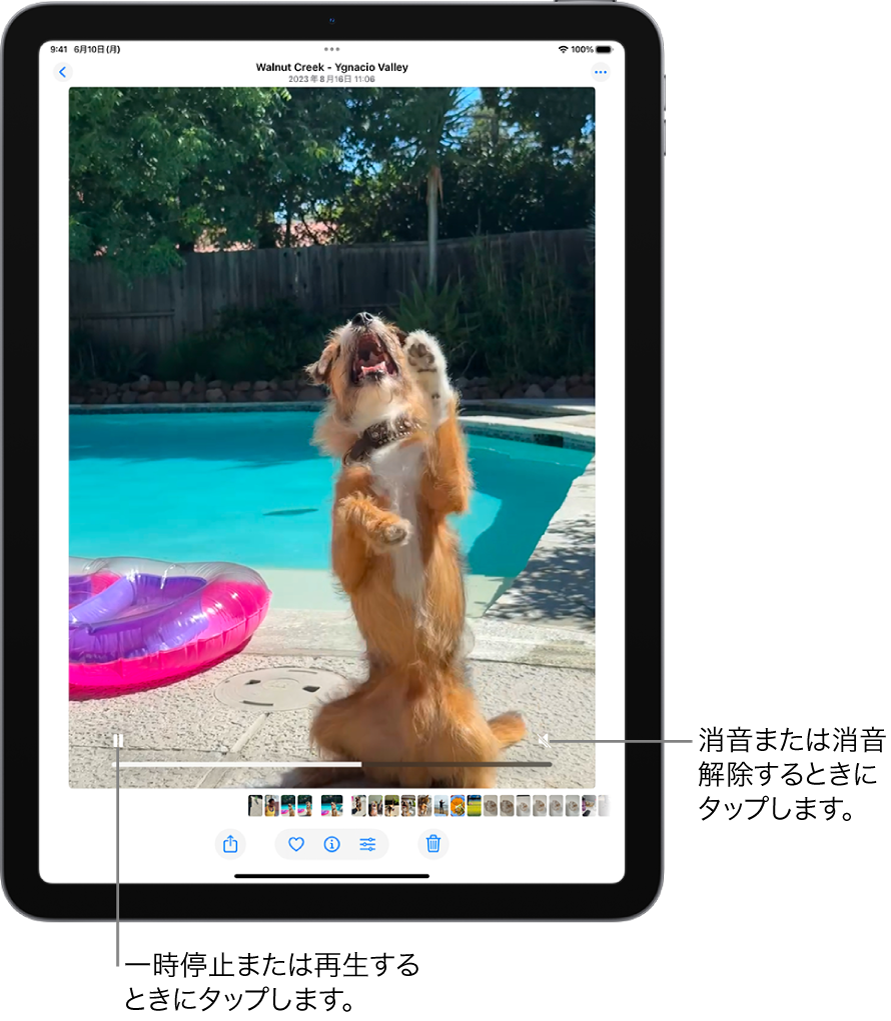 画面の中央には写真アプリのビデオプレーヤーがあり、ビデオが再生中です。ビデオの下部には、左から順に、再生/一時停止ボタン、進行状況バー、消音/音量ボタンがあります。
