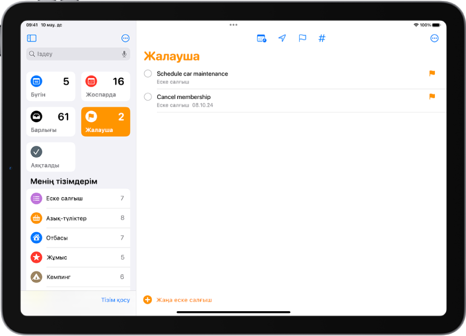 Барлық жалауша қойылған элементтерді қамтитын Смарт тізімді көрсетіп тұрған «Еске салғыш» экраны.