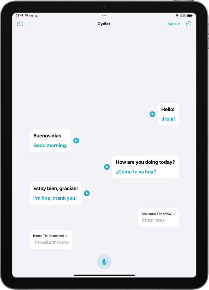 Чат көпіршіктері мен олардың аудармаларын көрсетіп тұрған «Сұхбат» қойындысы.