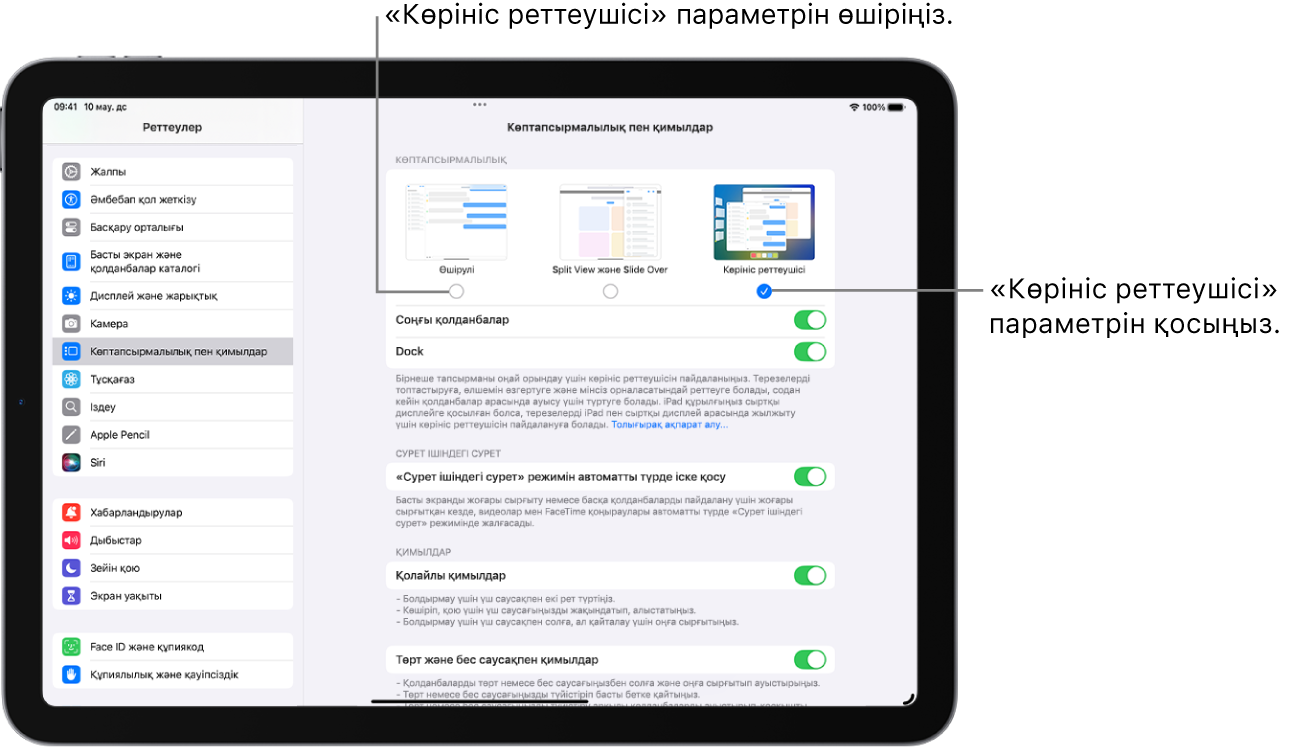 «Көрініс реттеушісі» параметрін қосуға немесе өшіруге арналған «Реттеулер» экраны.