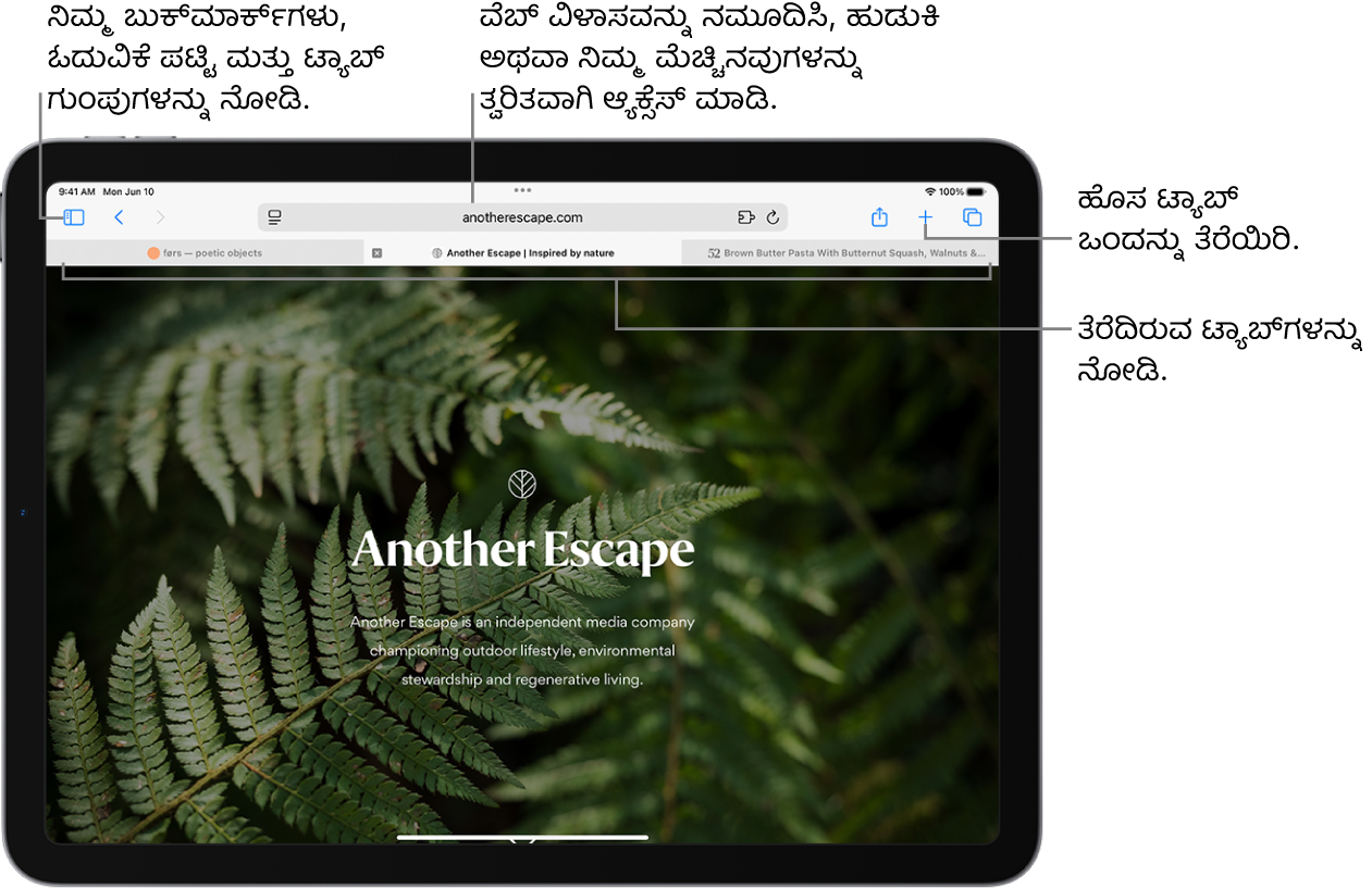ತೆರೆದಿರುವ ವೆಬ್ಪುಟ. ಮೇಲ್ಭಾಗದಲ್ಲಿ, ಎಡದಿಂದ ಬಲಕ್ಕೆ, ಸೈಡ್ಬಾರ್ ಬಟನ್, ಪ್ರಸ್ತುತ ತೆರೆದಿರುವ ಟ್ಯಾಬ್ ಗುಂಪಿನ ಶೀರ್ಷಿಕೆ, ಹಿಂದಿನದು ಮತ್ತು ಹಿಂದಕ್ಕೆ ಬಟನ್ಗಳು, ಹುಡುಕಾಟದ ಫೀಲ್ಡ್, ಹಂಚಿಕೊಳ್ಳಿ ಬಟನ್, ಹೊಸ ಟ್ಯಾಬ್ ಬಟನ್ ಮತ್ತು ಟ್ಯಾಬ್ ಅವಲೋಕನ ಬಟನ್ ಇವೆ.