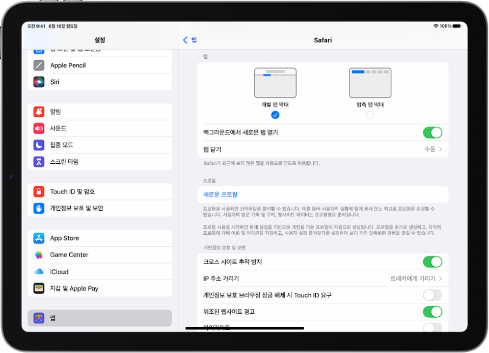 왼쪽 사이드바에는 앱이 선택되어 있고 오른쪽 상단에는 탭 사용 옵션이 표시된 Safari 패널이 있는 설정 앱 윈도우.