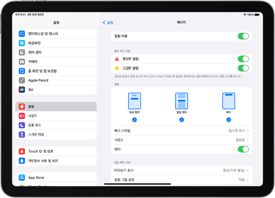 알림 및 경고 메시지 설정이 표시된 iPad.