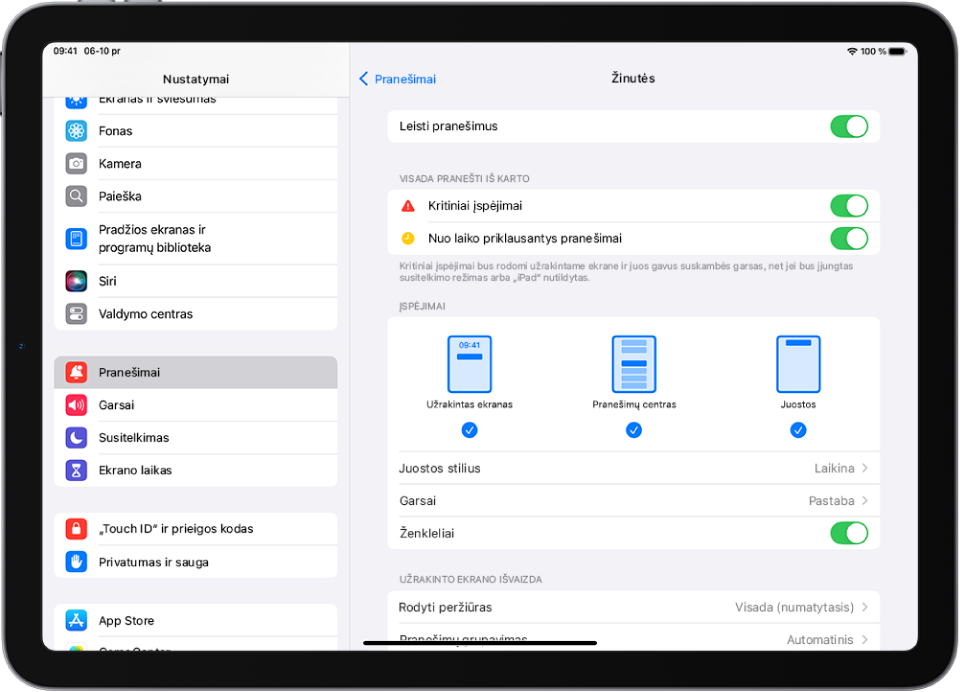 „iPad“ su programos „Žinutės“ nustatymais pranešimams ir įspėjimams.