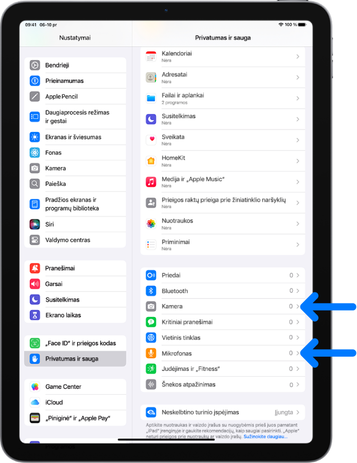 „Privatumas ir sauga“ ekranas, pateikiami nustatymai, kuriais galima valdyti, ar programos gali naudoti kamerą, mikrofoną ir kitas „iPad“ dalis.