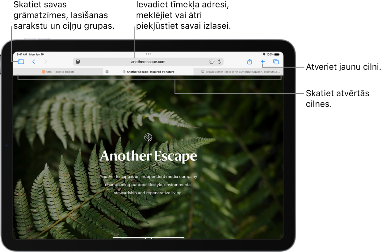 Atvērta tīmekļa vietne. Augšdaļā no kreisās uz labo pusi ir poga Sidebar, pašreiz atvērtās ciļņu grupas nosaukums, pogas Previous un Back, meklēšanas lauks, poga Share, poga New Tab un poga Tab Overview.