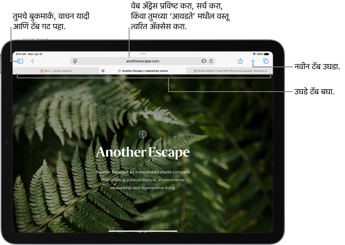 उघडलेले वेबपृष्ठ. वरच्या बाजूला, डावीकडून उजवीकडे, साइडबार बटण, सध्याच्या ‘ओपन टॅब ग्रुप’ चे शीर्षक, मागील आणि मागे बटणे, सर्च फील्ड, शेअर बटण, ‘नवीन टॅब’ बटण आणि ‘टॅब ओव्हरव्ह्यू’ बटण आहे.