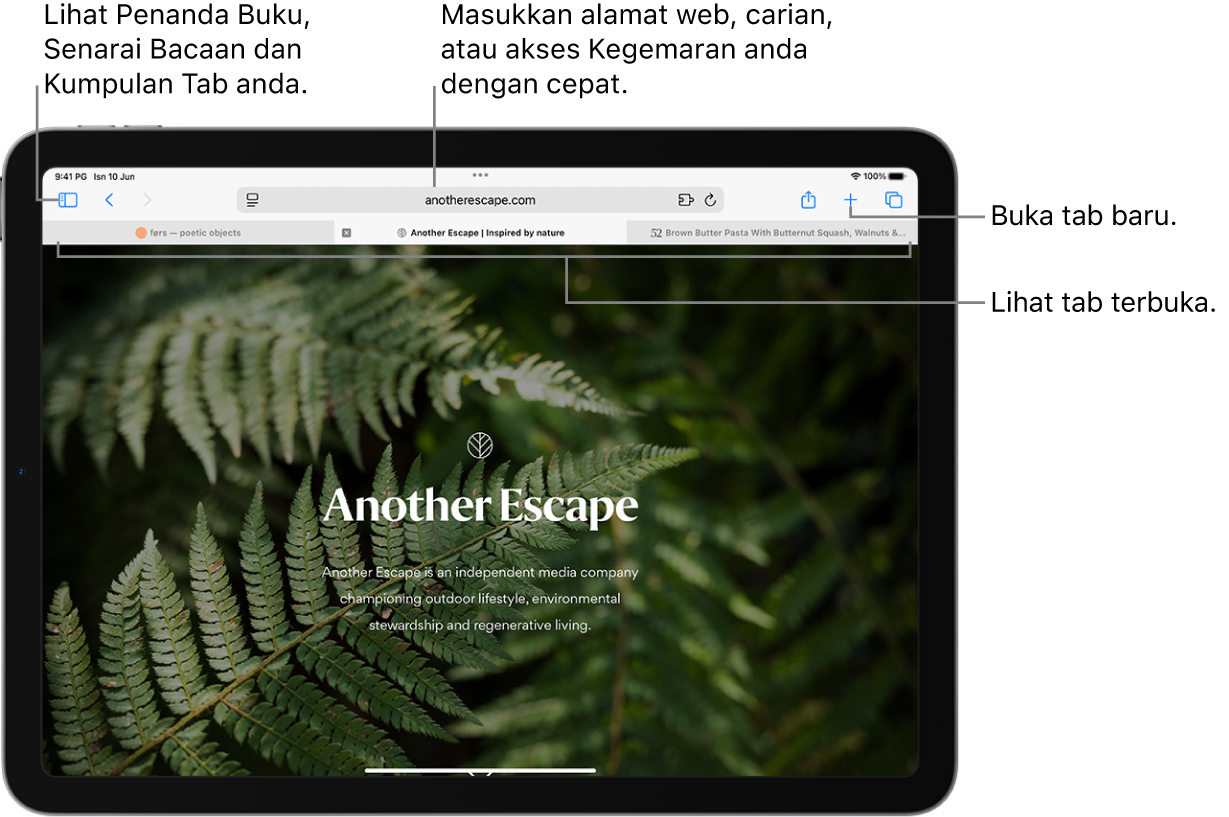 Halaman web terbuka. Sepanjang bahagian atas, dari kiri ke kanan, ialah butang Bar Sisi, tajuk Kumpulan Tab yang sedang terbuka, butang Sebelumnya dan Balik, medan carian, butang Kongsi, butang Tab Baharu dan butang Gambaran Keseluruhan Tab.