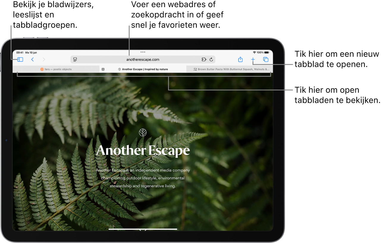 Een geopende webpagina. Bovenaan staan van links naar rechts de knop voor de navigatiekolom, de naam van de tabbladgroep die nu is geopend, de knoppen 'Vorige' en 'Volgende', het zoekveld, de deelknop en de knoppen voor een nieuw tabblad en het tabbladoverzicht.