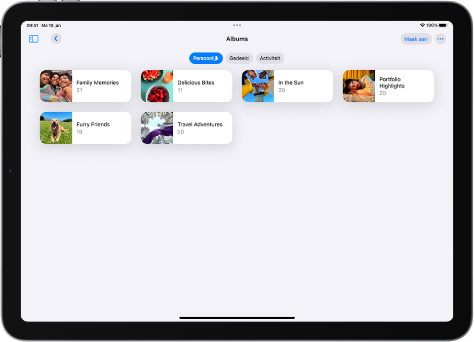 De Foto's-app is geopend bij 'Albums'. 'Persoonlijk' is geselecteerd. De rest van het iPad-scherm toont albumminiaturen in een raster.