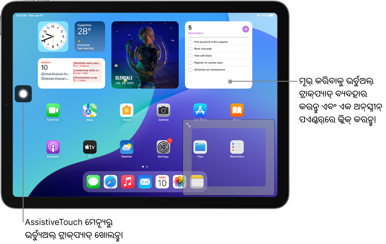ସ୍କ୍ରୀନ୍‌ କୋଣରେ ଏକ ଭର୍ଚୁଆଲ୍ ଟ୍ରାକ୍‌ପ୍ୟାଡ୍ ସହିତ ଏକ iPad ଡିସ୍‌ପ୍ଲେ ହୋଇଛି। ସ୍କ୍ରୀନ୍‌ରେ AssistiveTouch ମେନ‍୍ୟୂ (ଯାହା ଟ୍ରାକ୍‌ପ୍ୟାଡ୍ ଖୋଲିବା ପାଇଁ ବ୍ଯବହୃତ ହୁଏ) ଏବଂ ପଏଣ୍ଟର୍ (ଯାହା ଟ୍ରାକ୍‌ପ୍ୟାଡ୍ ଦ୍ୱାରା କଣ୍ଟ୍ରୋଲ୍‌) ମଧ୍ଯ ଅଛି।