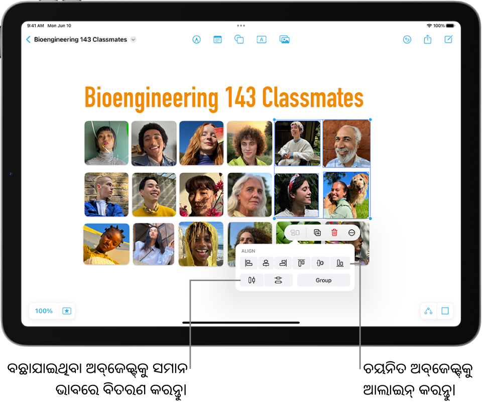 ଫଟୋ ଗ୍ରିଡ୍ ସହିତ ଭର୍ତ୍ତି ହୋଇଥିବା ଏକ Freeform ବୋର୍ଡ୍‌। ଅନେକ ଫଟୋ ଚୟନ କରାଯାଇଛି ଏବଂ ଆଲାଇନ୍‌ମେଣ୍ଟ୍ ଏବଂ ଗ୍ରୂପ୍ କରିବା ଟୂଲ୍‌ଗୁଡ଼ିକ ସେଗୁଡ଼ିକ ଉପରେ ଦେଖାଯାଉଛି।