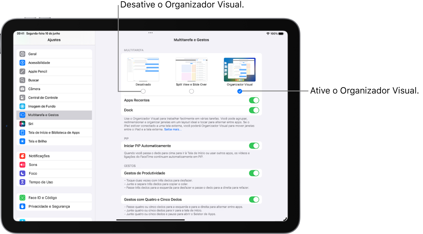 A tela de Ajustes para ativar ou desativar o Organizador Visual.