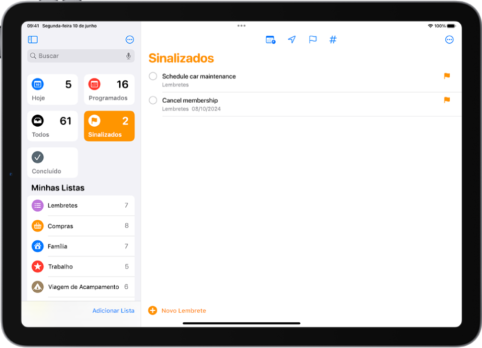 Tela do app Lembretes mostrando uma Lista Inteligente que contém todos os itens sinalizados.