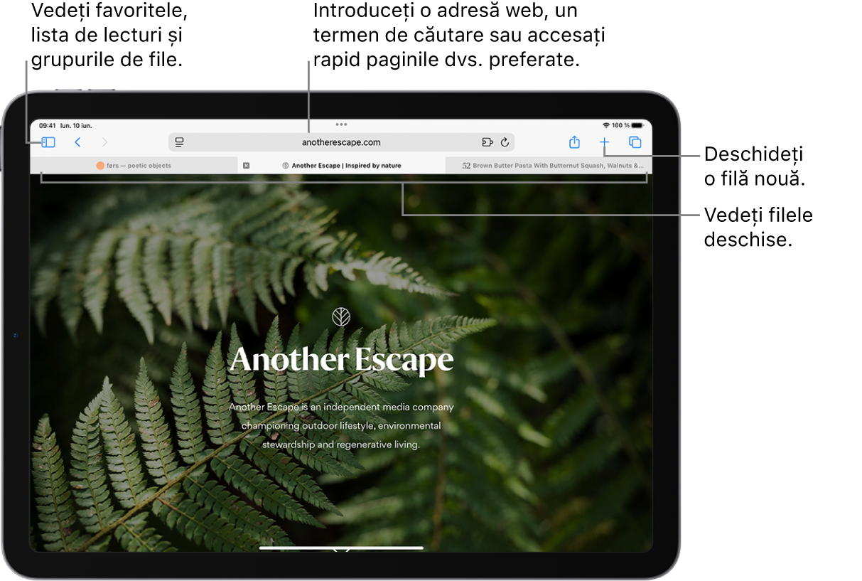 O pagină web deschisă. De-a lungul părții de sus, de la stânga la dreapta, se află butonul Sidecar, titlul grupului de file deschise curent, butoanele Înapoi și Înainte, câmpul de căutare, butonul Partajați, butonul Filă nouă și butonul Prezentare generală file.