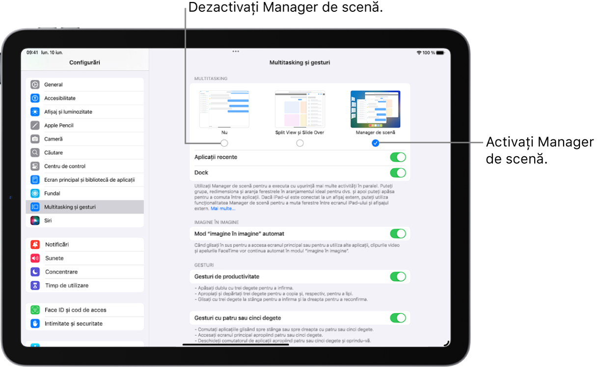 Ecranul Configurări pentru activarea sau dezactivarea Manager de scenă.