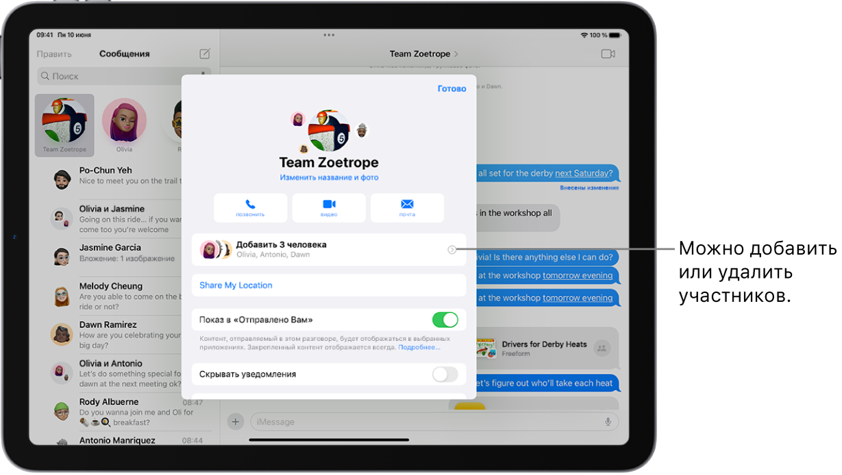 Сведения о групповом разговоре на экране iPad.