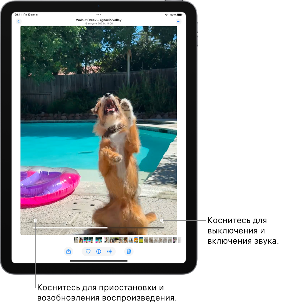 Видеопроигрыватель приложения «Фото» находится в центре экрана. Воспроизводится видео. Внизу видео слева направо расположены кнопка воспроизведения/паузы, индикатор выполнения и кнопка выключения/регулировки звука.