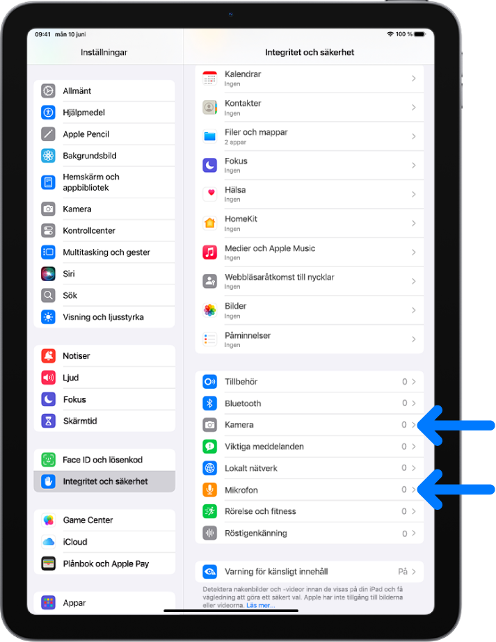 Skärmen Integritet och säkerhet med inställningar för att styra vilka appar som kan använda kameran, mikrofonen och andra delar av iPad.