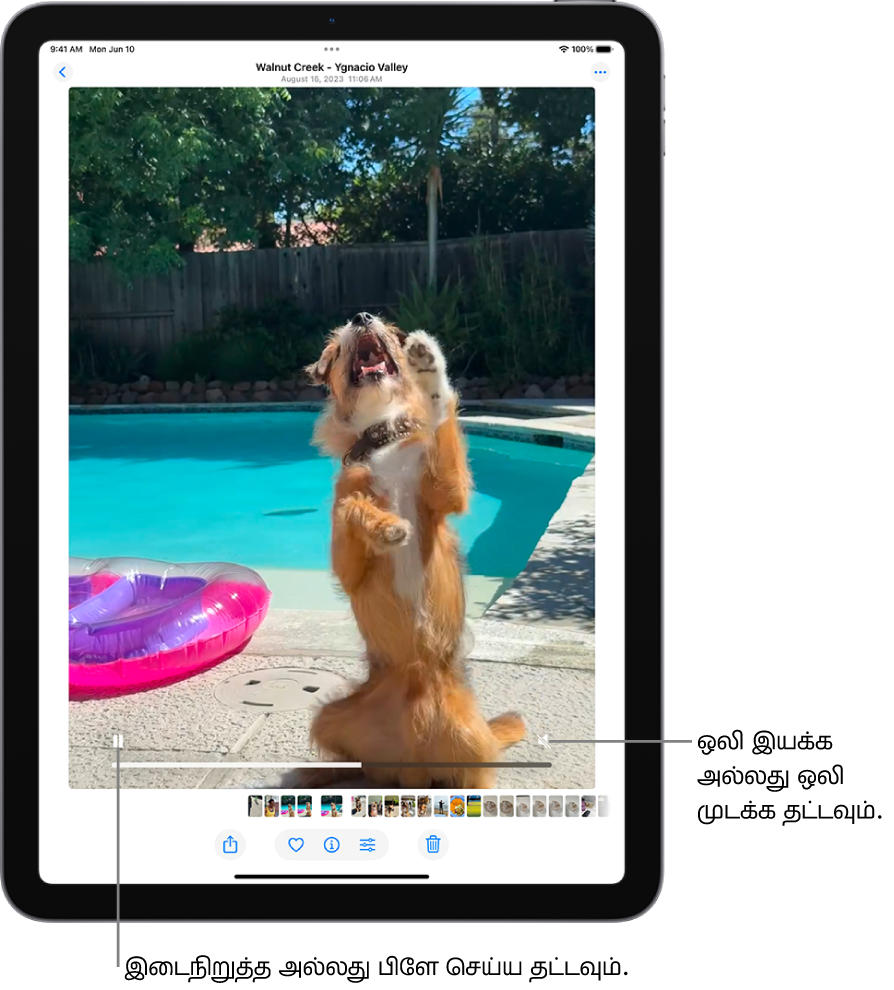 திரையின் நடுவில் ஃபோட்டோஸ் செயலியின் வீடியோ பிளேயர் காட்டப்பட்டுள்ளது, அதில் ஒரு வீடியோ பிளே செய்யப்படுகிறது. வீடியோவின் கீழே, இடமிருந்து வலமாக “பிளே செய்/இடைநிறுத்து” பட்டன், பிளே ஆவதைக் காட்டும் பார், ஒலிமுடக்கு/ஒலியளவு பட்டன் ஆகியவை உள்ளன.