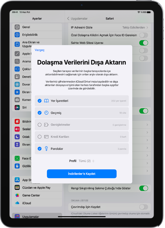 Dolaşma Verilerini Dışa Aktarın ekranı, Safari’den başka bir web tarayıcıya aktarabileceğiniz verileri gösteriyor.