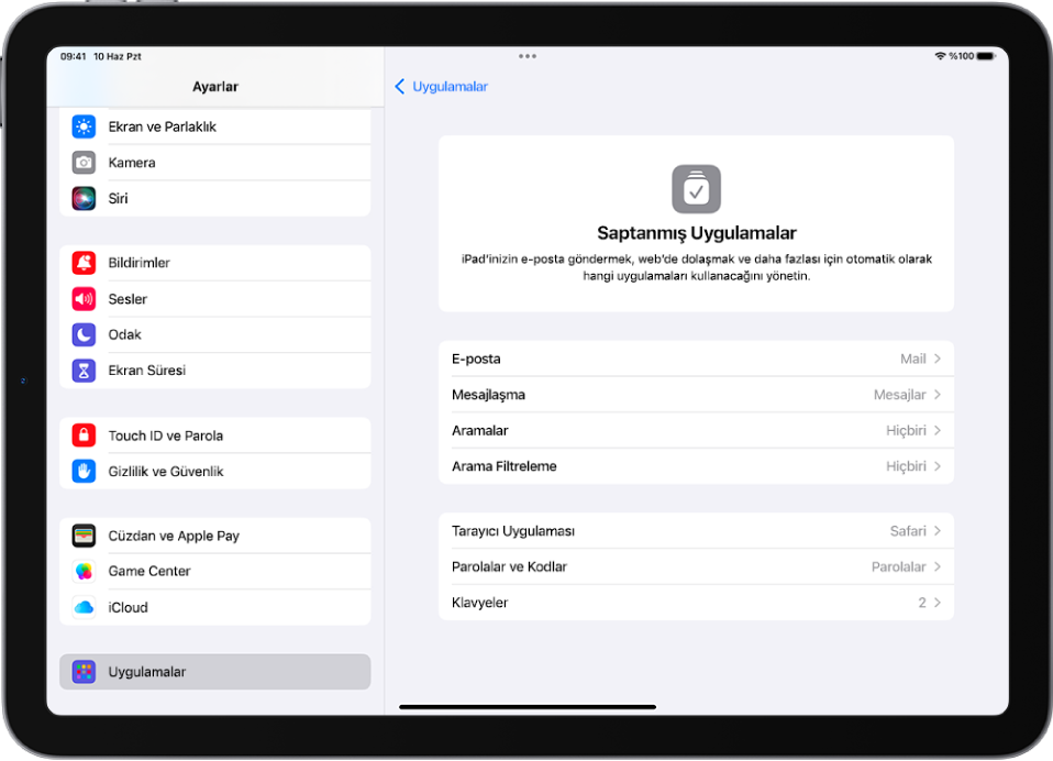 E-posta gönderme, web’de dolaşma ve daha fazlasına yönelik saptanmış uygulamalarınızı değiştirme ekranı.