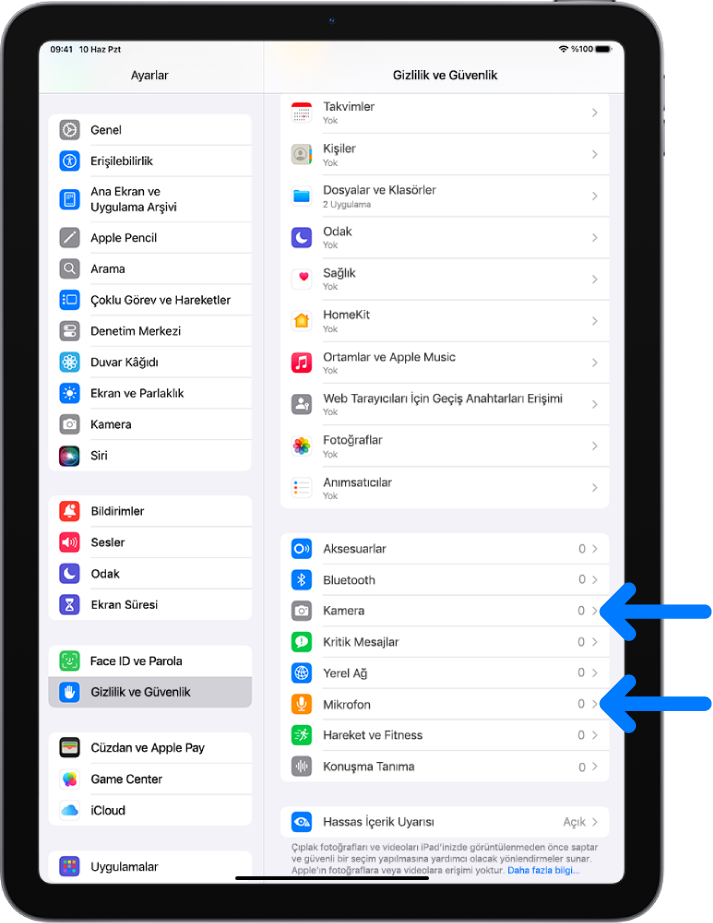 Uygulamaların kamerayı, mikrofonu veya iPad’inizin diğer bölümlerini kullanıp kullanamayacağını denetleme ayarlarıyla Gizlilik ve Güvenlik ekranı.