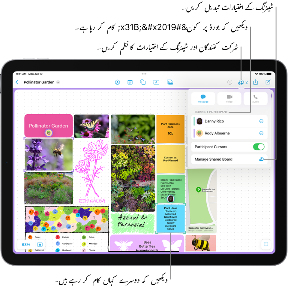 ‏iPad پر ایک شیئر کردہ Freeform بورڈ جس میں اشتراک کا مینو کھلا ہوا ہے اور بورڈ پر کسی دوسرے شرکت کنندہ کی لوکیشن جامنی رنگ کے ٹک مارک سے نشان زد ہے۔