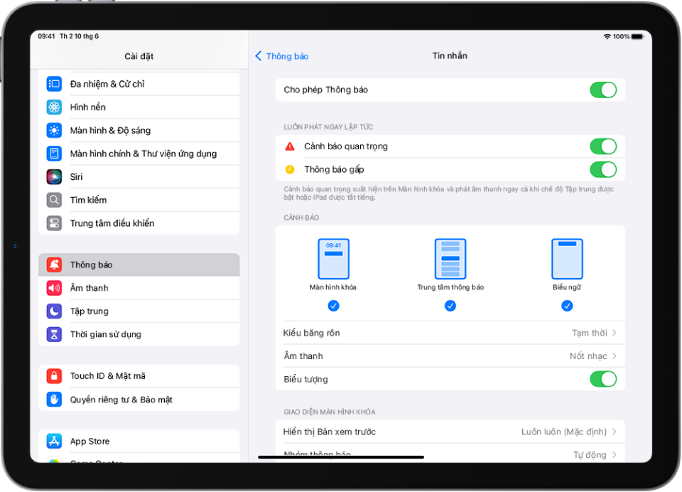 iPad với cài đặt Tin nhắn cho thông báo và cảnh báo.