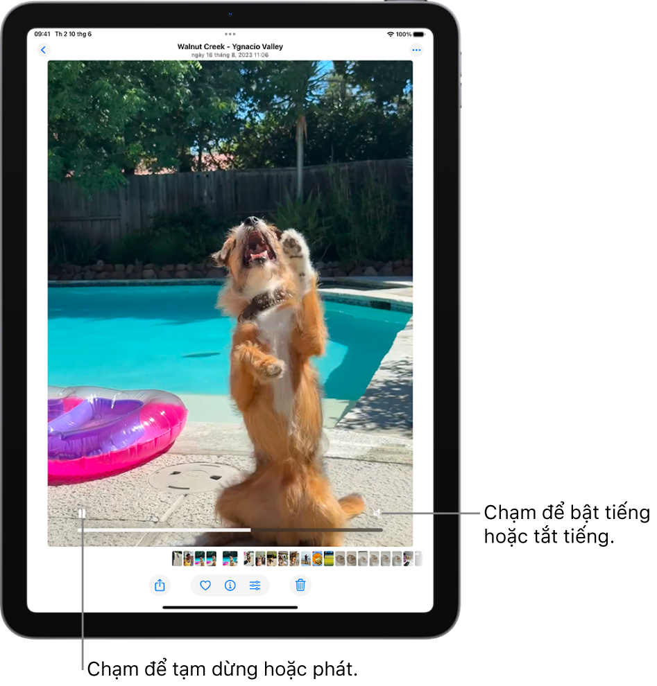 Trình phát video của ứng dụng Ảnh nằm ở chính giữa màn hình và một video đang phát. Ở cuối video, từ trái sang phải, là nút Phát/Tạm dừng, thanh tiến trình và nút Tắt tiếng/Âm lượng.