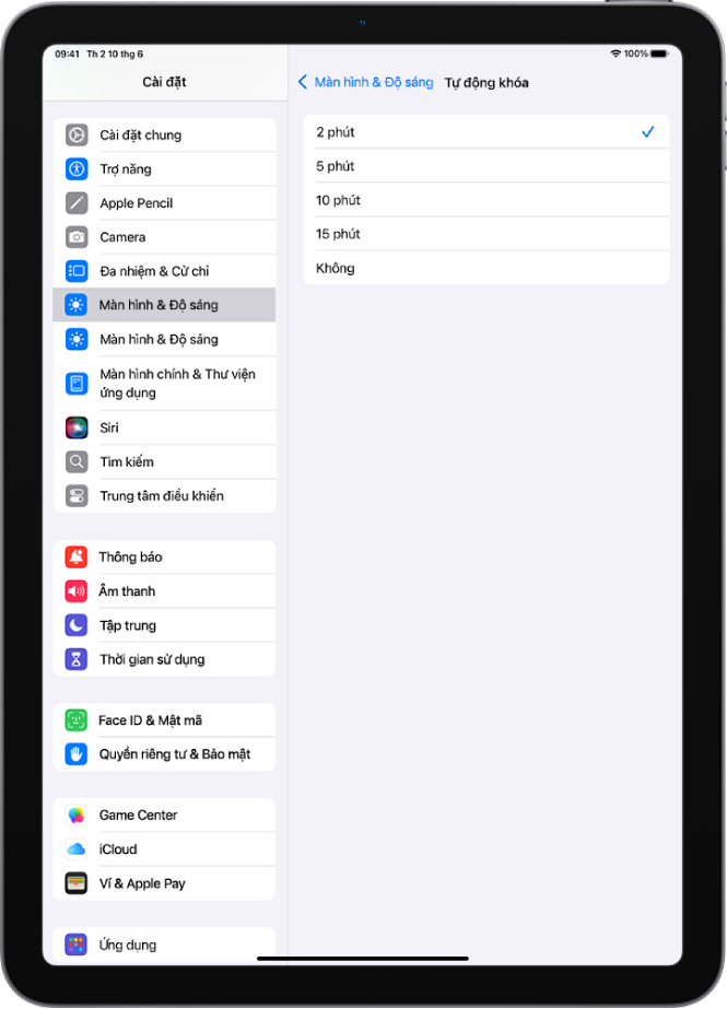 Màn hình Tự động khóa, với các cài đặt cho khoảng thời gian trước khi iPad tự động khóa.