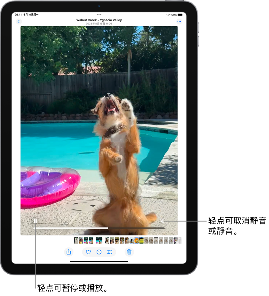 “照片” App 视频播放器位于屏幕中间，一个视频正在播放。视频底部从左到右依次为播放/暂停按钮、进度条和静音/音量按钮。