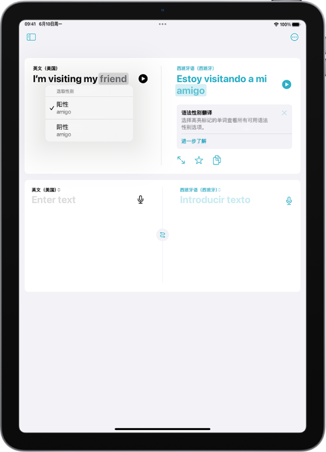 “翻译”标签页，显示从英语翻译成西班牙语的短语，下方所列具有不同性别差异的单词以灰色高亮标记。