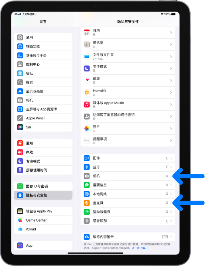 “隐私与安全性”屏幕，显示用于控制 App 可否使用 iPad 相机、麦克风及其他部分的设置。