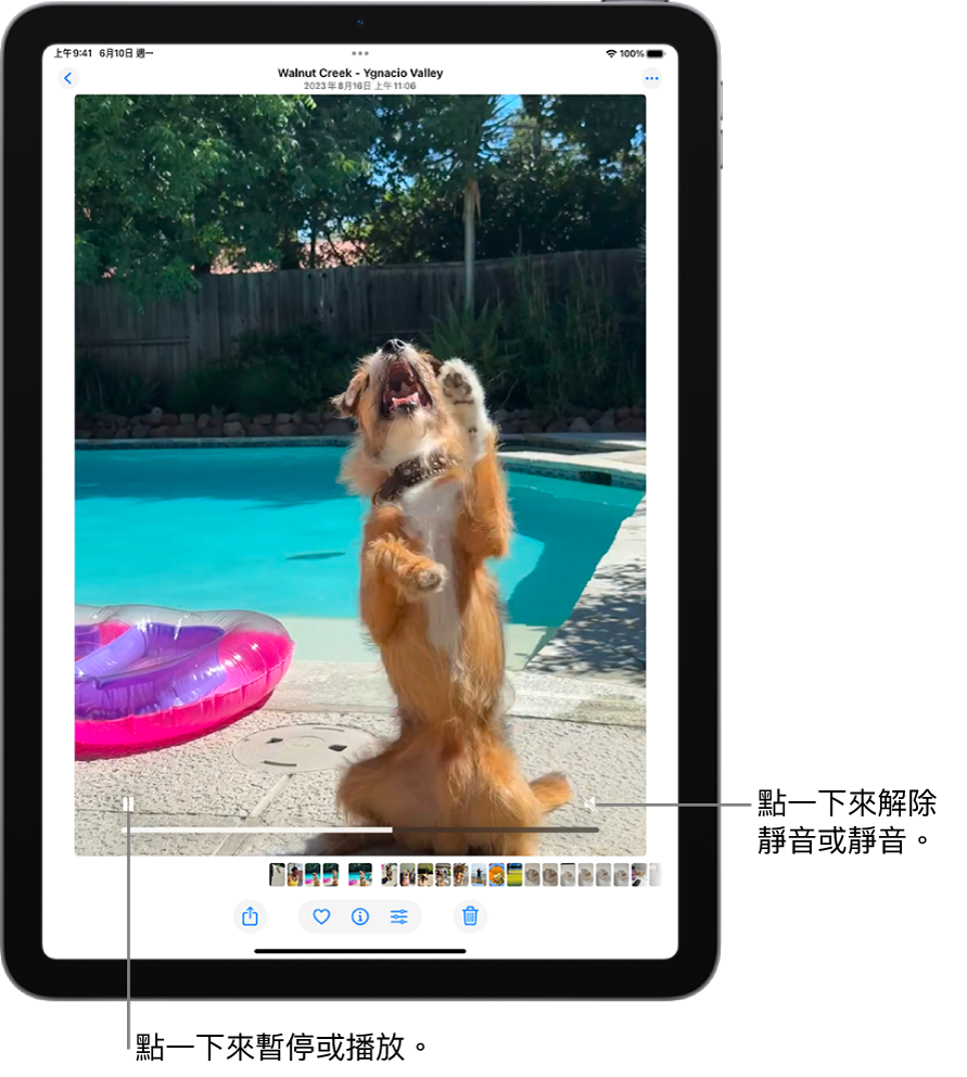 螢幕中央的「照片」App 影片播放器正在播放影片。影片底部由左至右為「播放/暫停」按鈕、進度列和「靜音/音量」按鈕。