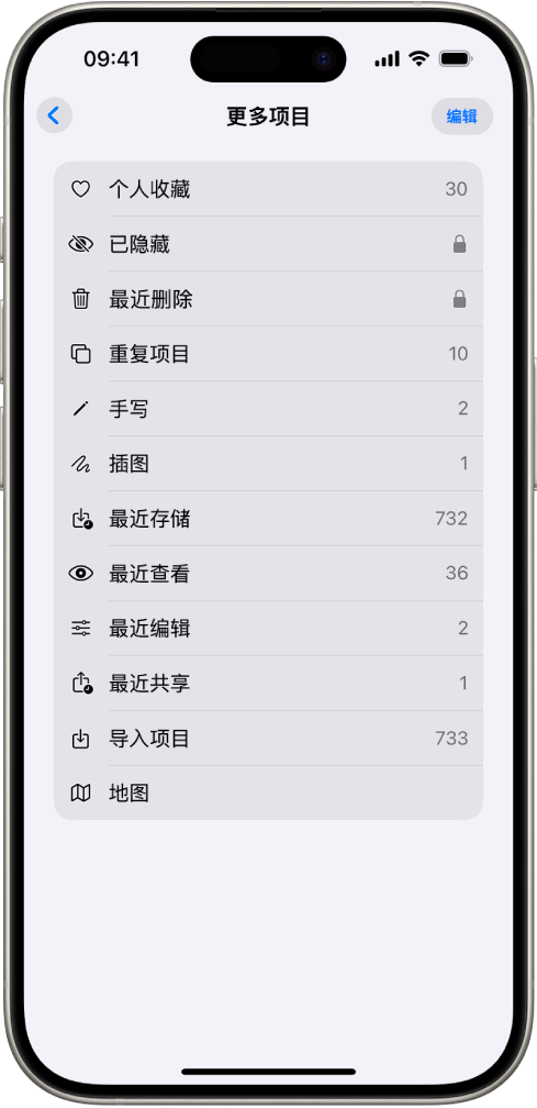 在“照片” App 中,“更多项目”精选集已打开,显示照片精选集列表。