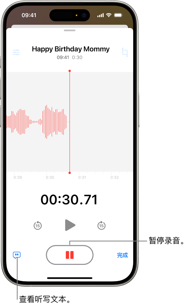 “语音备忘录”录音,显示正在进行的录音的波形,以及时间指示器和用于暂停录音的按钮。