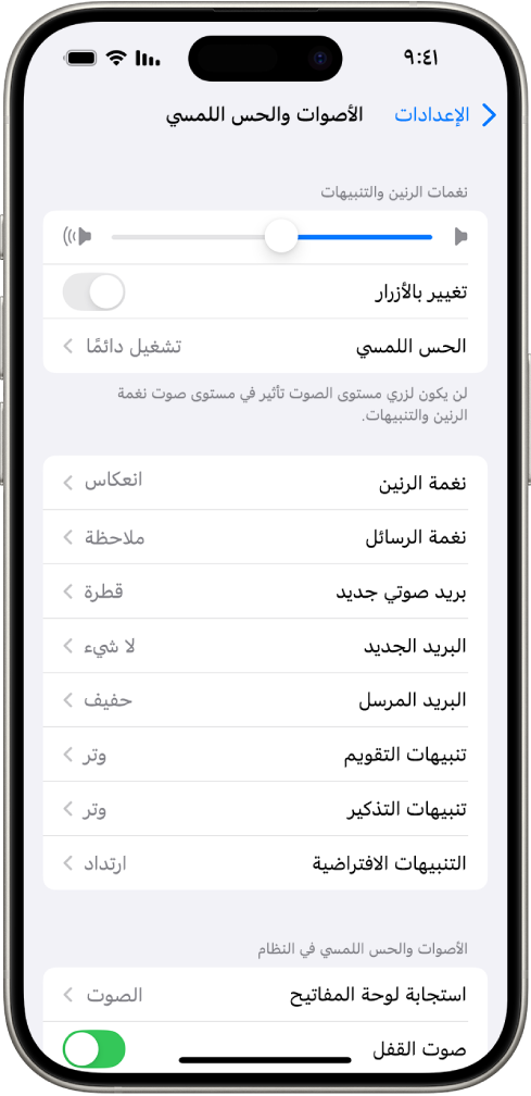شاشة الأصوات والحس اللمسي في الإعدادات. الخيارات التي تظهر على الشاشة من أعلى إلى أسفل هي: صوت سماعات الرأس واستخدام سماعة الرأس بأمان ونغمة الرنين ومستوى صوت التنبيه مع شريط تمرير لضبط مستوى الصوت وخيار تغيير مستوى الصوت باستخدام الأزرار، وأنماط الحس اللمسي والأصوات بما في ذلك نغمة الرنين ونغمة الرسائل.