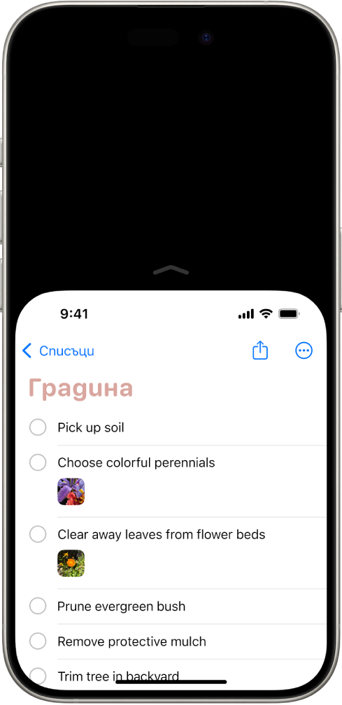 Екранът на iPhone с активирана функцията Достъпност. Горната част на екрана се е преместила надолу, като сега можете лесно да я достигнете с палеца си.